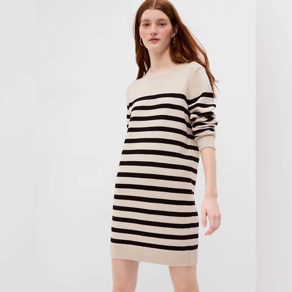 Striped Black and Tan Sweater Dress